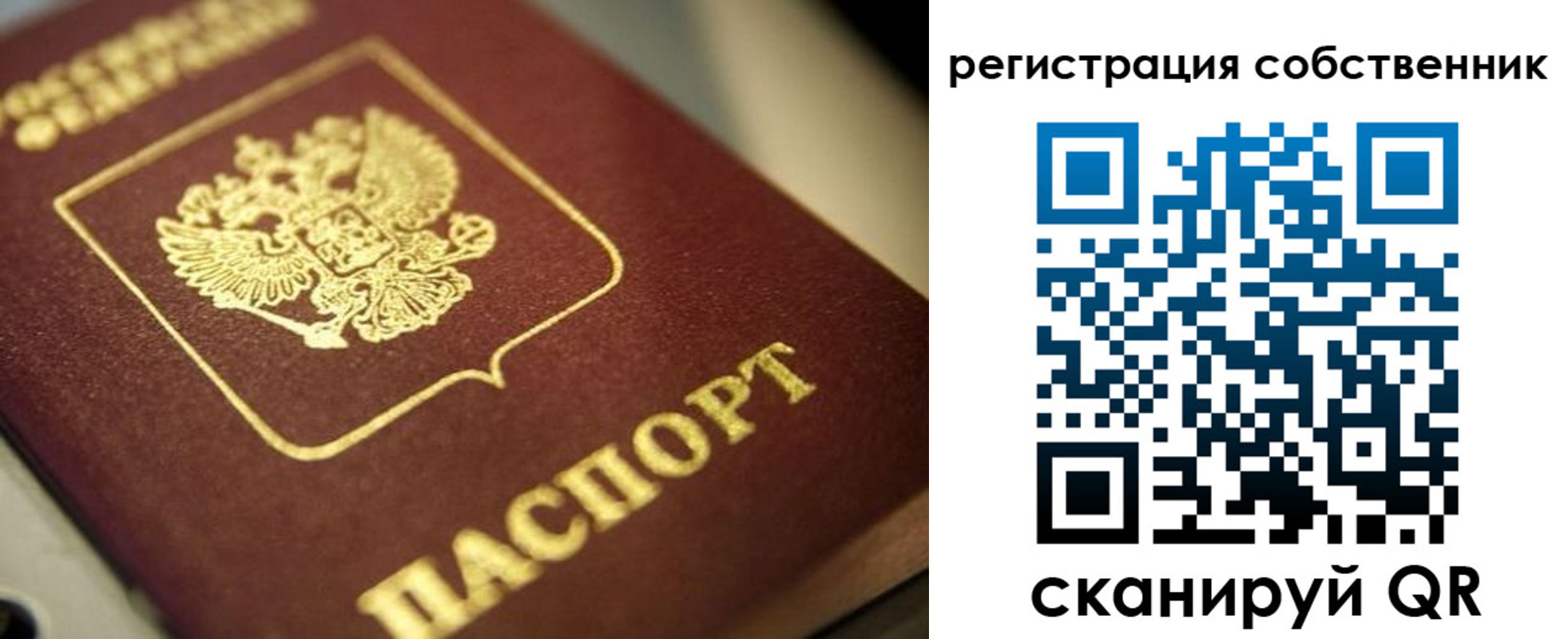 прописка в Североморске